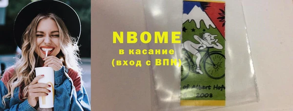 индика Зеленокумск