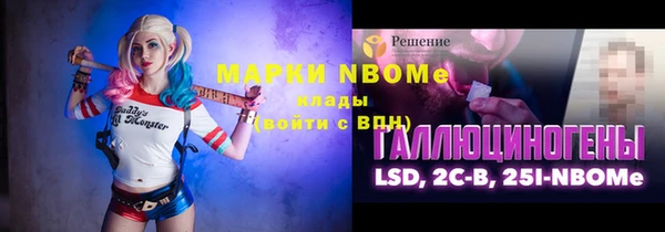 индика Зеленокумск