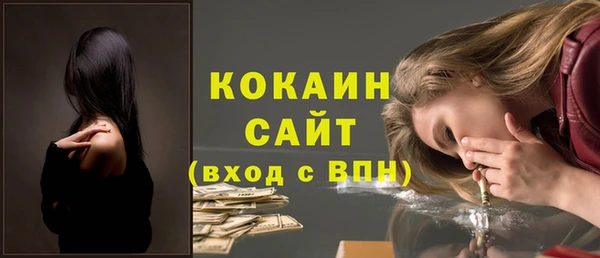 индика Зеленокумск