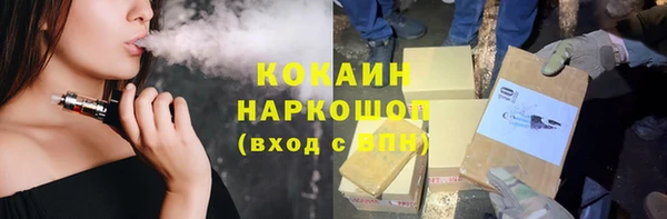 индика Зеленокумск