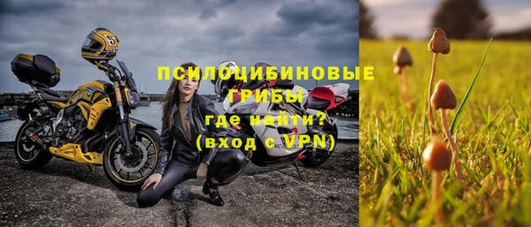 индика Зеленокумск