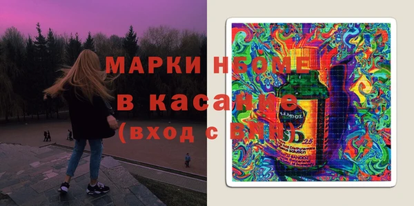 индика Зеленокумск