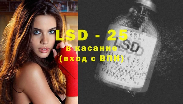 индика Зеленокумск