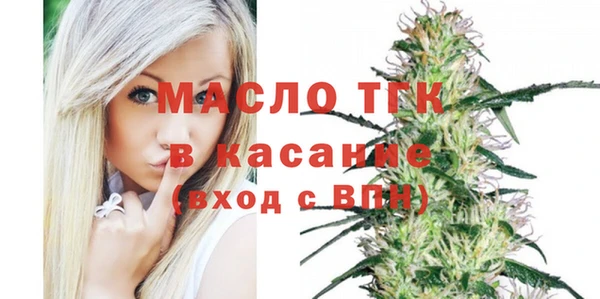 индика Зеленокумск