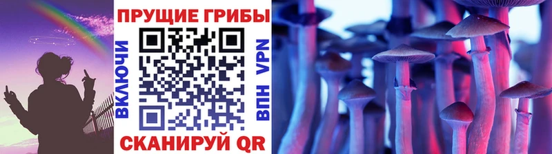 Галлюциногенные грибы Psilocybe  Купить  Данков 